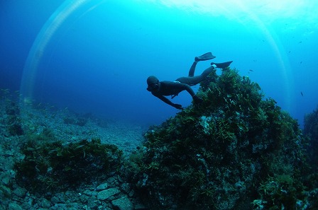 輪島の海女 - 潜水