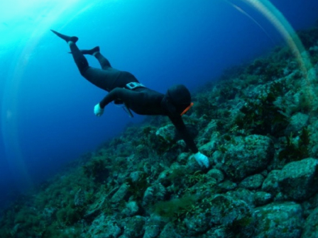 輪島の海女　-　伝統的素潜り漁