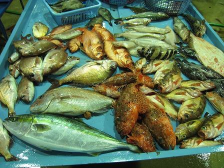 輪島漁港は漁獲される魚種の多様性や高級魚が多いのも特長でもある。