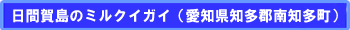 日間賀島のミルクイガイ