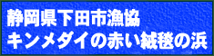 ˓Ƃ̍`쌧Ɓ`