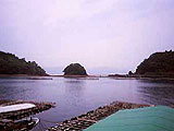 宇和島の海を守る