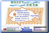 静岡県漁業協同組合
